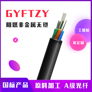 GYFTZY-4B1.3单模LSZH光纤室外8/12/16/24/48/96芯非金属阻燃光缆