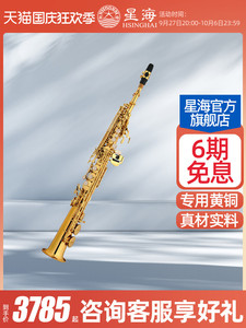 星海管乐正品XSS-100型降B调高音萨克斯次中音萨克斯上低音萨克斯