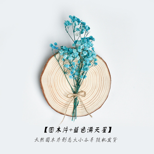 原木壁饰天然松木实木ins墙壁装饰干花 年轮圆木片花束挂件墙饰品