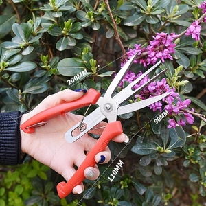 新款苹果树双口疏果剪刀梨樱桃树疏花剪双刃稀花果分叉双头疏果剪