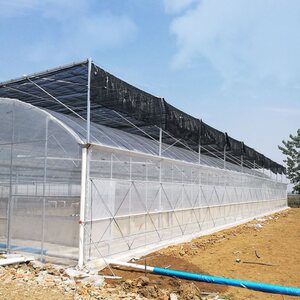 遮阳网支架搭棚架子蔬菜支架花架塑料保温小大拱棚园艺固定支撑柱