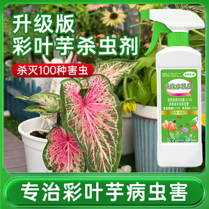 彩叶芋阳台花草杀虫剂绿植去虫药杀蚂蚁驱虫喷剂根部虫子花卉家用