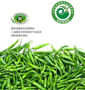 特级新鲜樟树港辣椒 正宗樟树港辣椒湘阴礼盒 湖南樟树港辣椒