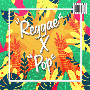 雷鬼流行采样包Reggae X Pop WAV MIDI编曲素材Drum Loop旋律鼓组
