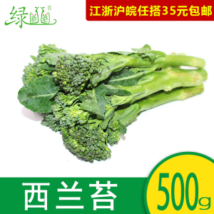 新鲜蔬菜 新鲜西兰苔 兰花苔 青花西兰苔青花菜 西兰花苔500g