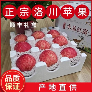 正宗陕西洛川红富士苹果产地直供新鲜水果