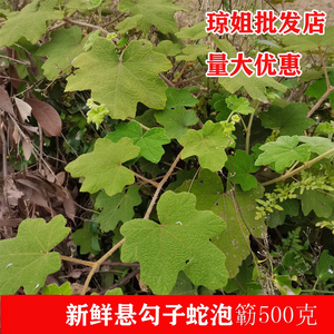 广西现挖悬钩子根蛇泡簕八月泡茅梅根粗叶悬钩子纯根500克