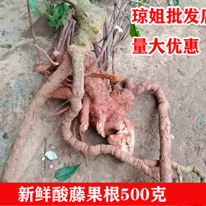 广西野生新鲜酸藤子根 酸藤头根 酸藤果纯根500克包邮