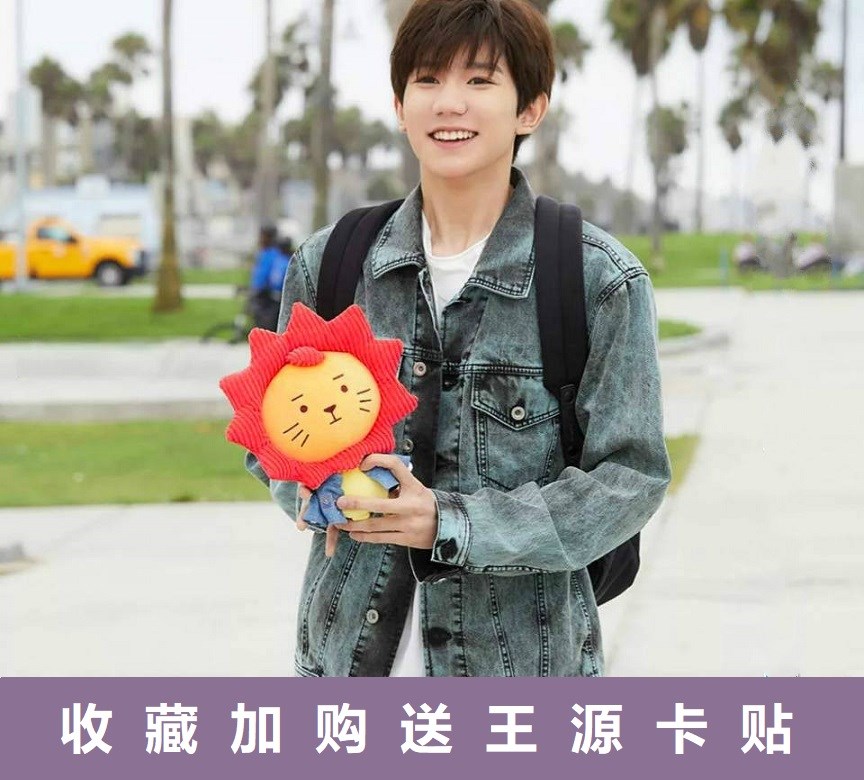 莱阳公仔王源同款应援物roy6源设计公仔毛d绒玩偶生日礼物女生