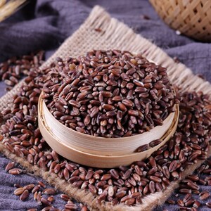 黑小麦粒农家新货全胚芽黑麦子麦仁种子带皮紫麦五谷杂粮粗粮500g