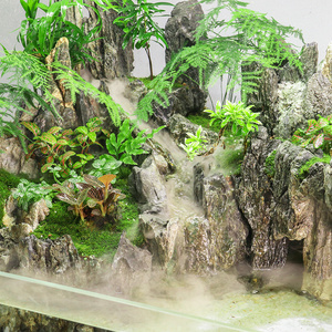 缸造龟雨林缸景鱼缸缸植物水草假山成品微景观生态定制水陆缸桌.