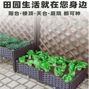 家庭阳台种植箱果蔬种菜盆塑料花盆长方形槽特大家用种菜种菜专用