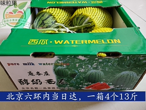 北京大兴庞各庄吊秧小西瓜手剥袖珍西瓜l600小吊瓜4粒13斤6粒25斤