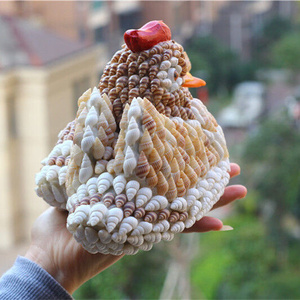 日本天然海螺贝壳创意工艺品海岛礼品纪念品家居e摆件情侣鸳鸯珊