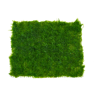 球网水草片景观赏粮斯阴性绿丝绒养莫绿藻藻鱼缸毯青苔懒人造青虾