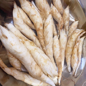 【化州红薯】化州红薯品牌,价格 - 阿里巴巴