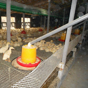 鸭送料机养猪料线养殖场平养自动上料机网养蛋鸡肉鸡全套喂养设备