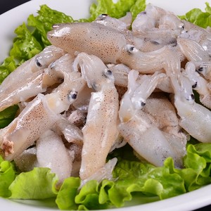 北海冷冻小鱿鱼仔海兔子鲜冻笔管鱼小乌贼鲜活鲜冻鱿鱼不带籽海鲜