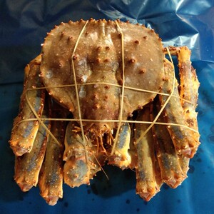 4-10斤阿拉斯加皇帝蟹鲜活帝王蟹海鲜超大霸王蟹大龙虾螃蟹面包蟹