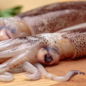 印尼进口超大鱿鱼冷冻新鲜尤鱼整只400g/3条海鲜水产笔管鱼生鲜