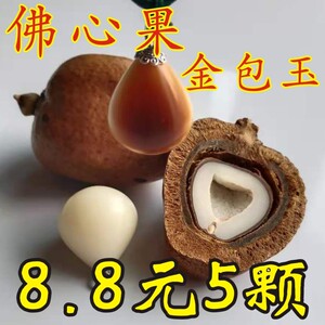 佛心菩提吊坠释迦红皮老果佛心果空心菩提佛灯果千眼菩提原籽手串