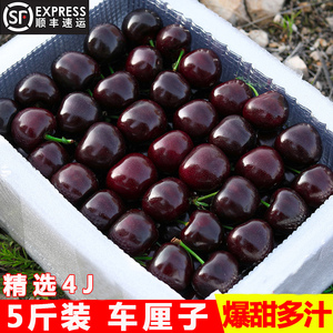 进口品种车厘子新鲜水果5斤大樱桃智利应季当季整箱4JJJJ新鲜3
