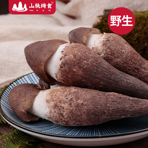 云南野生大黑帽鸡枞不开伞嫩鸡枞鸡腿粗鸡棕菌500g
