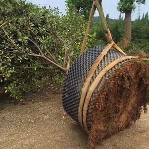 控根器花盆盘景观植树围土栏园艺园林绿化多规格快育苗控根容器盘