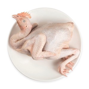 供港清远鸡温氏110天散养走地土鸡正宗清远鸡高品质黄油鸡老母鸡