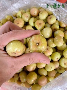 潮汕甜种油甘果热带鲜果生吃榨汁油柑余甘回甘孕妇水果