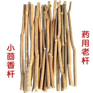 小茴香杆