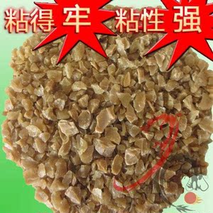 猪皮膘胶猪皮鳔胶小提琴专用乐器维修制作胶鱼鳔木工鱼胶红木用胶