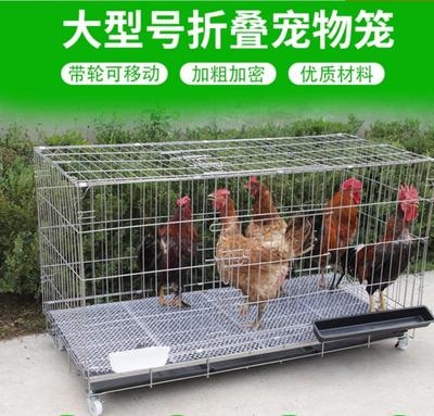外室内鸡笼大号笼子小笼子鸽子的d关子鸭鹅笼折叠家用鸡笼鸡笼鸡i