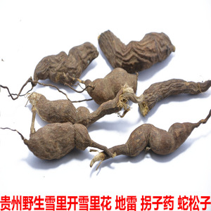 贵州野生雪里开中药材地雷根拐子药蛇松子单叶铁线莲100g农家自晒