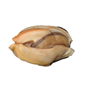 【微山湖野生河蚌】河蚌肉野生河蚌新鲜活体现杀去壳蚌肉冷鲜净肉