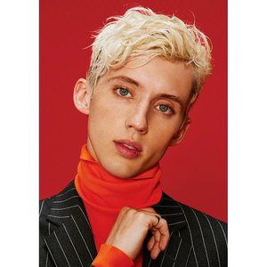 troyesivan特洛耶希文戳爷小t年少轻狂海报壁纸挂画墙贴实木