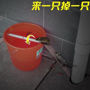 捕鼠陷阱水桶
