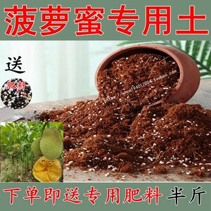 菠萝蜜专用土营养土家用酸性泥炭土室内绿植种植椰糠通用花土b肥