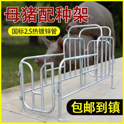 公猪母猪配种架配猪架小母猪支架猪用养殖设备猪配种架授精采精1