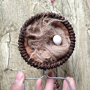 新款鸟窝 繁殖窝 玉鸟鸟窝 芙蓉鸟金青一套连窝带架内径11爱巢