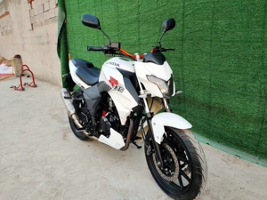 二手摩托车猛兽街车川崎翼虎250cc地平线小忍者跑车趴赛男装女装