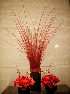 进口伊朗红瑞木红柳鲜切枝条水培植物花材客厅婚房布置婚庆用花材