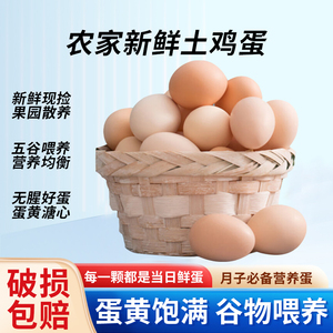 芮瑞新鲜土鸡蛋笨鸡蛋果园散养土鸡蛋50g±5/枚*20枚月子蛋初生蛋