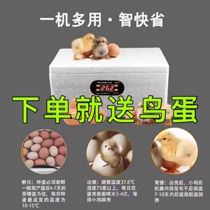 水床孵蛋器孵化机孵化器小型家用型自动智能芦丁鸡鸭鹅鹦鹉孵化箱