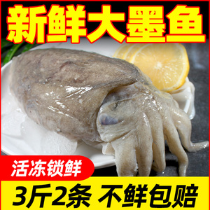 3斤野生新鲜大墨鱼鲜冻冷冻墨鱼仔海鲜水产乌贼目鱼超大号墨斗鱼