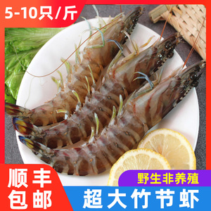 5-10只一斤特大斑节虾斑马虾九节虾车虾对虾新鲜海鲜野生基围虾