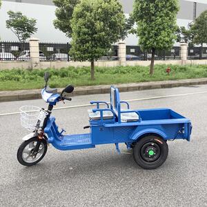 电动三轮车摆摊拉货车新款家用电瓶车成人代步车小型平板车接孩子