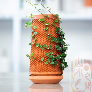 陶里瓶陶罐自动渗水保湿植物水培容器苔藓树状培养基雨林植物蕨类