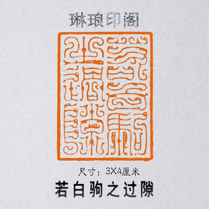 若白驹之过隙 尺寸3x4厘米 鸟虫篆 国展书画作品闲章 篆刻 印章