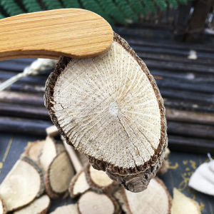 汉桃叶 七叶莲 七叶莲七叶一枝花 鹅掌藤 汉桃叶500克